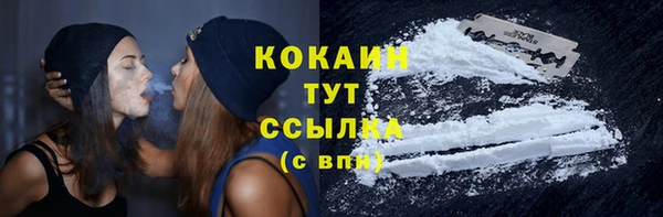 дмт Дмитриев