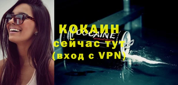 дмт Дмитриев