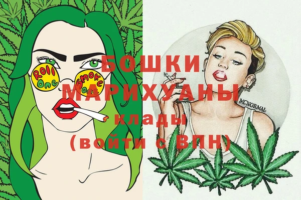 дмт Дмитриев