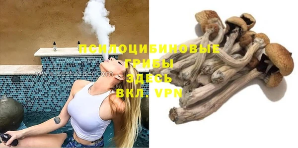 дмт Дмитриев