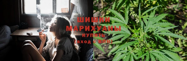 ешки Дмитровск