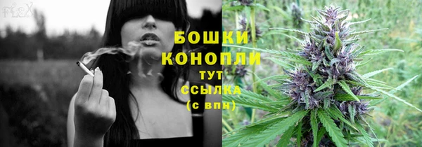ешки Дмитровск